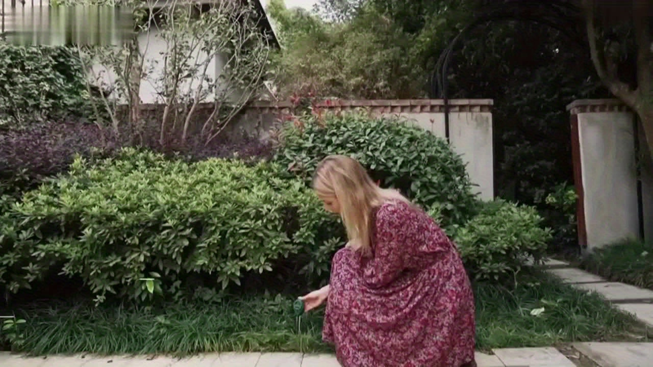 10 pack, Soil Tester, 3-in-1 Plant Moisture Meter Light And PH Tester