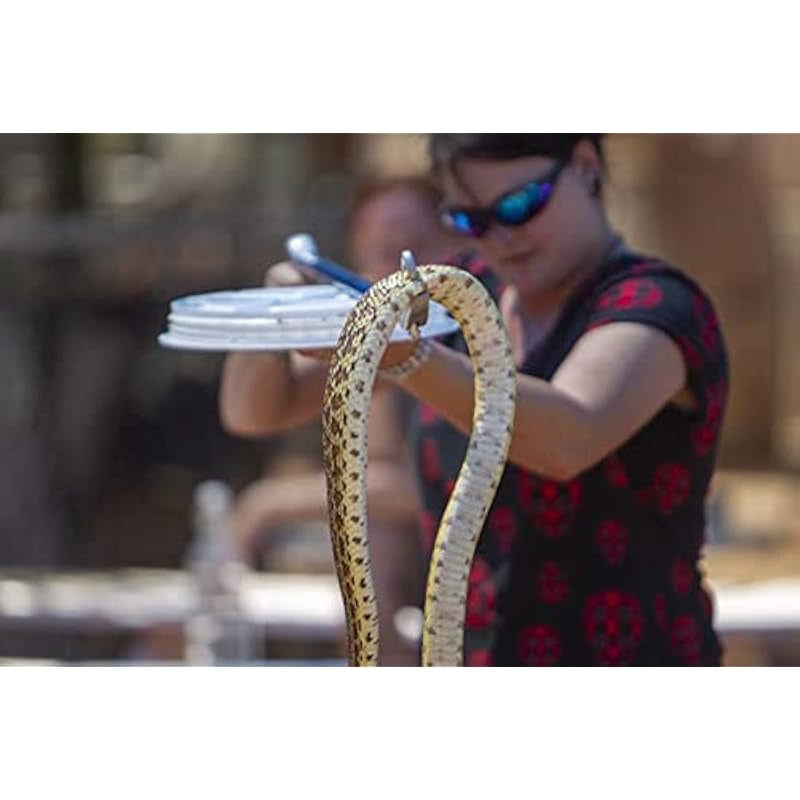 52 Inch Aluminum Alloy Snake Tongs