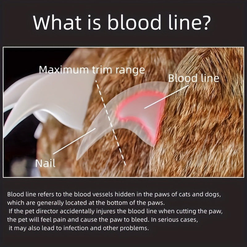 LED Light Pet Nail Clipper- Great For Trimming Cats & Dogs Nails & Claws, 5X Magnification That Doubles As A Nail Trapper