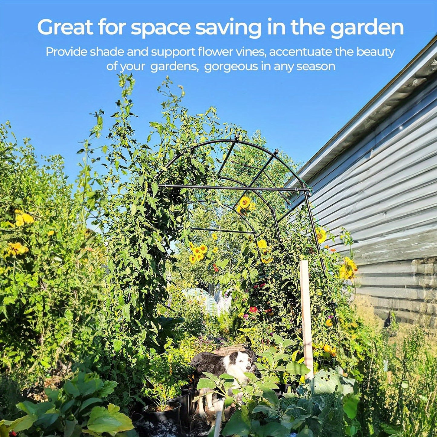 Garden Arch Trellis for Climbing Plants Outdoor, 82.67" Extra Tall