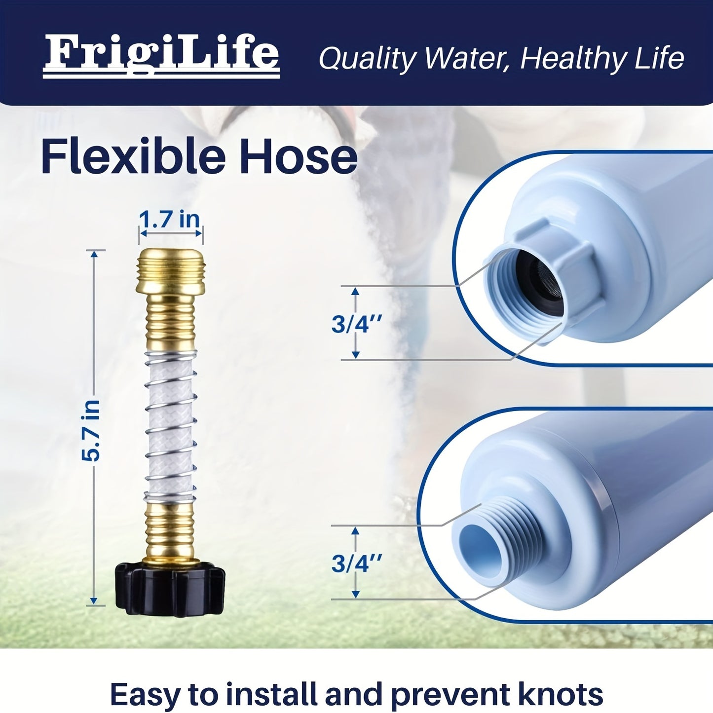 RV Water Filter, NSF/ANSI 42, For Drinking