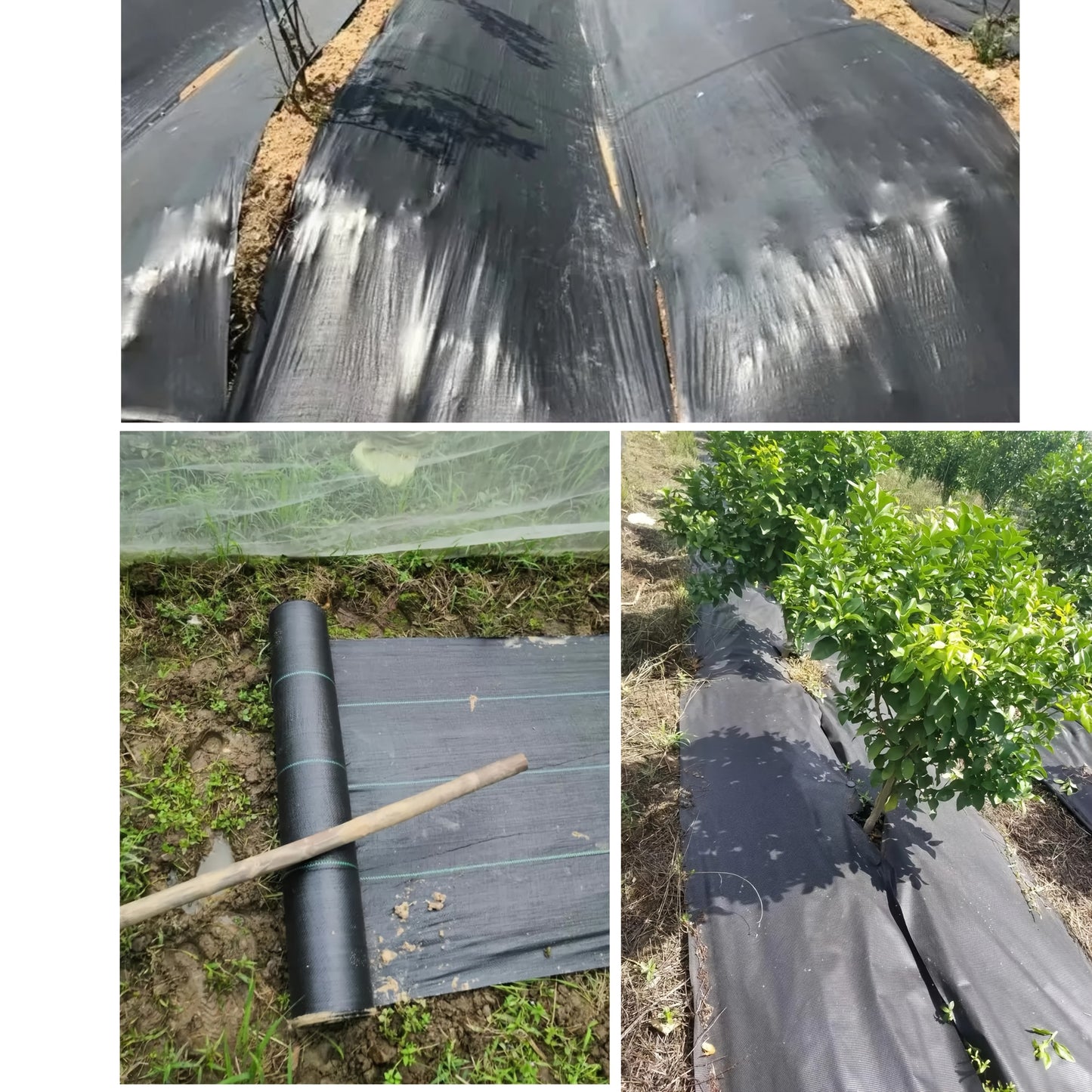 1-Roll Heavy-Duty Landscape Weed Barrier Landscape Cloth - Large 2.62x49.2ft Weed Suppressant Sheet, Durable Garden Groundcover for Weed Prevention, Soil Erosion Control, Driveways, Pathways, Flower Beds - Easy Installation O