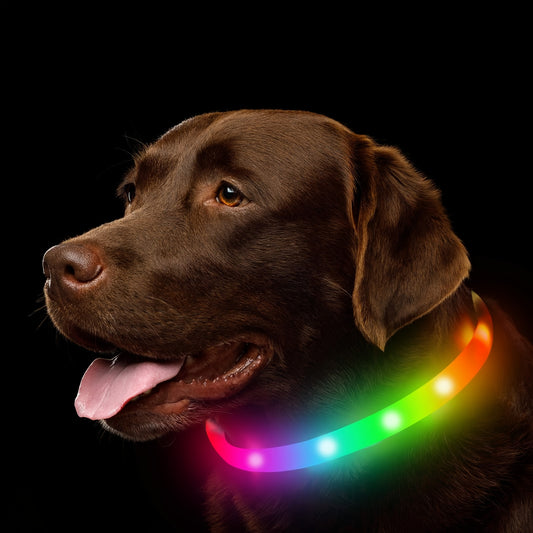 LED Cat Dog Collar, USB Rechargeable Flash Dog Necklace Light, Pet Safety Collar Makes Your Beloved Dogs Be Seen At Night